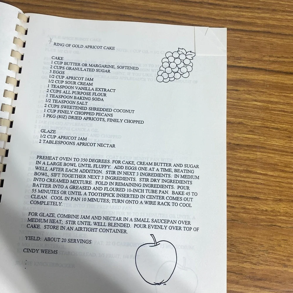 Pilot Potpourri Winnsboro Texas Vintage 1995 Cookbook Pilot Club Tasting Bee